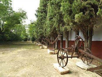 Hacienda La Vereda Montilla Luaran gambar